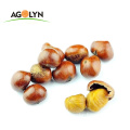 High Quality Roasted Peeled Chestnuts for Snacks